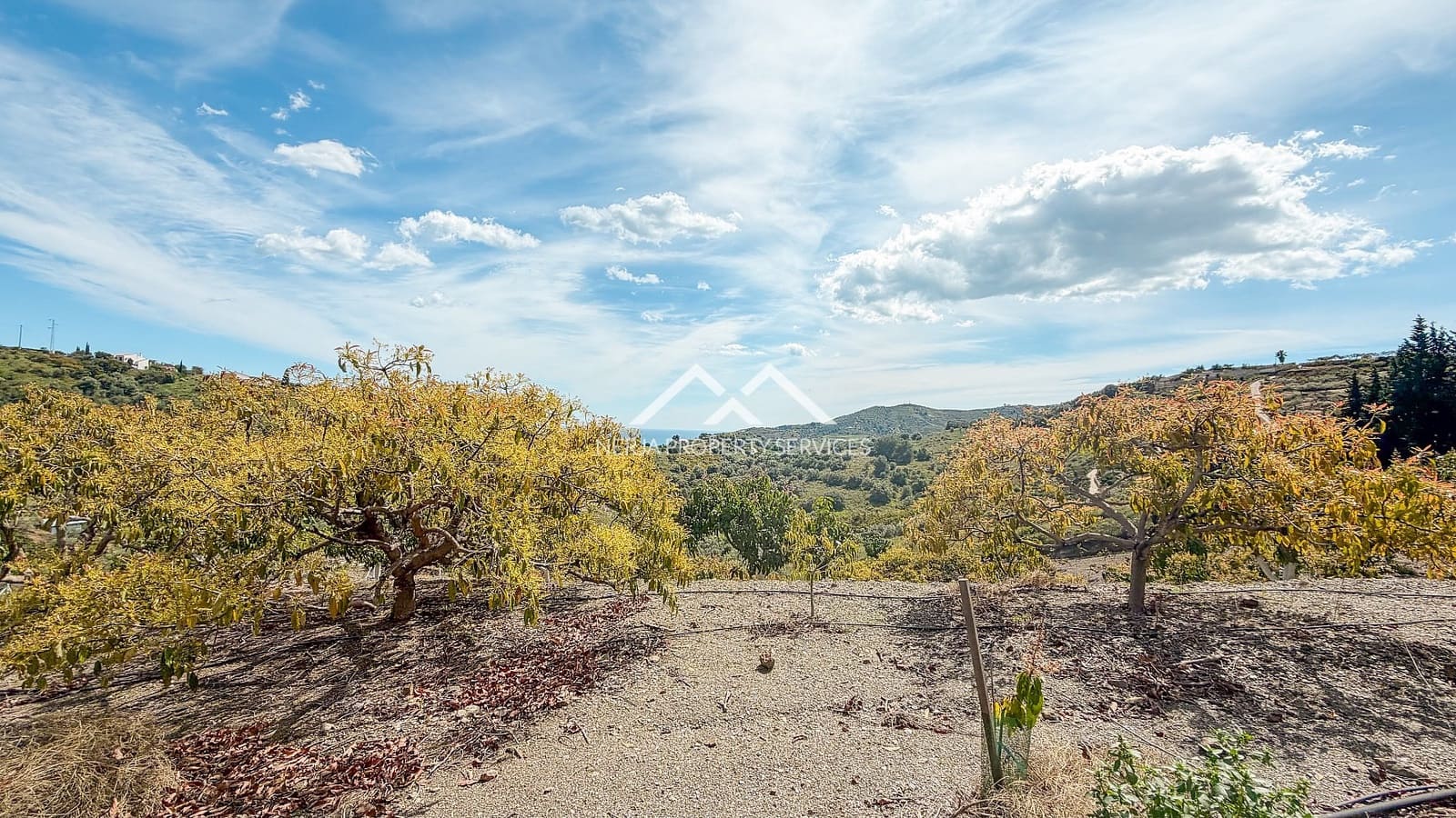 Teren niezagospodarowany na sprzedaż w Frigiliana - 149 000 € (Ref: 9771989)
