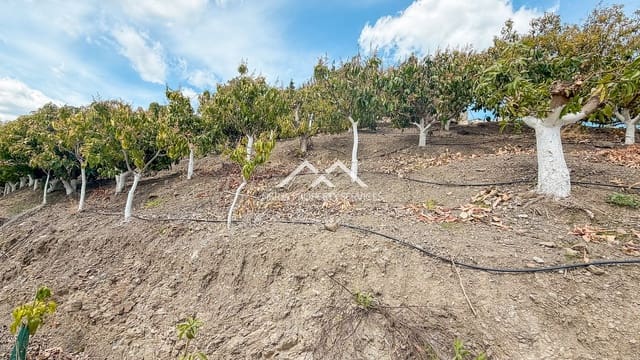 Teren niezagospodarowany na sprzedaż w Frigiliana - 149 000 € (Ref: 9771989)