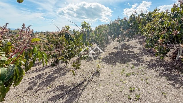 Teren niezagospodarowany na sprzedaż w Frigiliana - 149 000 € (Ref: 9771989)