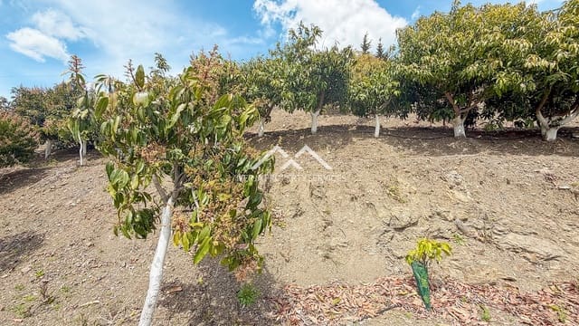 Teren niezagospodarowany na sprzedaż w Frigiliana - 149 000 € (Ref: 9771989)