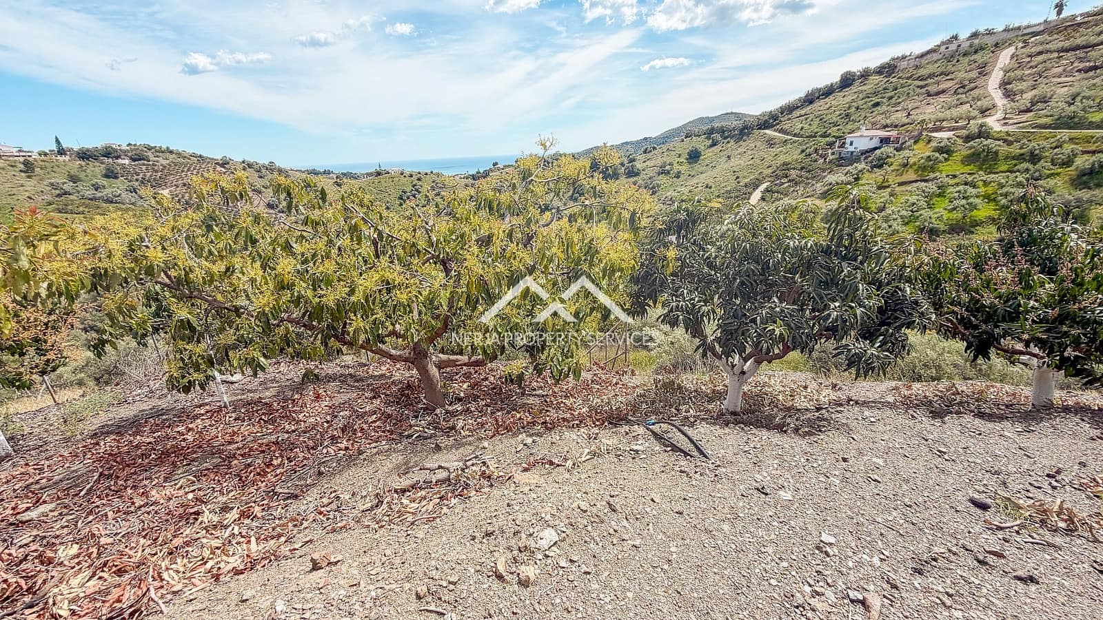 Teren niezagospodarowany na sprzedaż w Frigiliana - 149 000 € (Ref: 9771989)