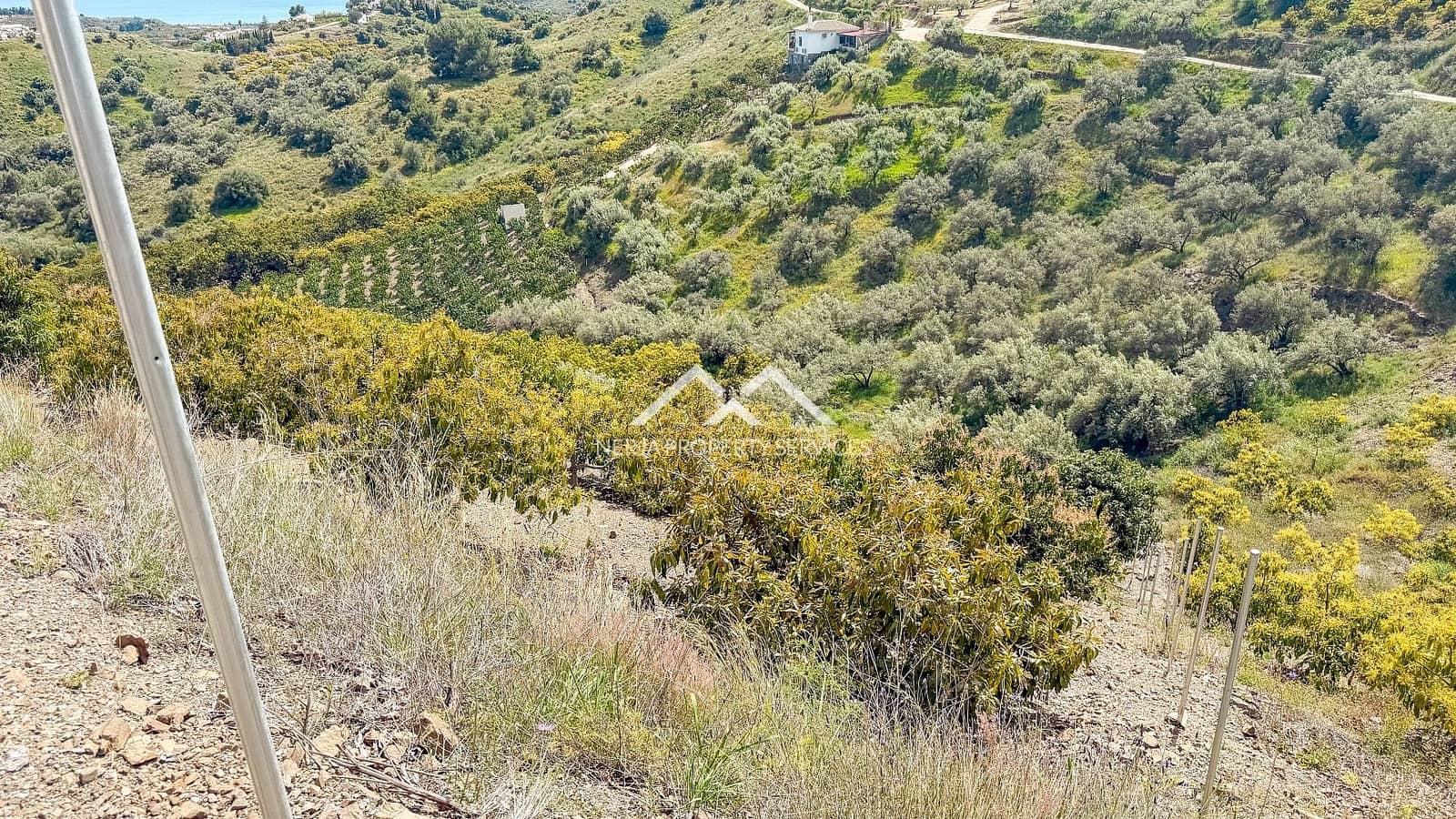 Teren niezagospodarowany na sprzedaż w Frigiliana - 149 000 € (Ref: 9771989)