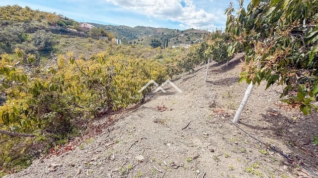 Teren niezagospodarowany na sprzedaż w Frigiliana - 149 000 € (Ref: 9771989)