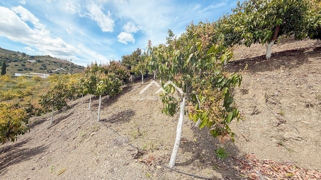 Teren niezagospodarowany na sprzedaż w Frigiliana - 149 000 € (Ref: 9771989)