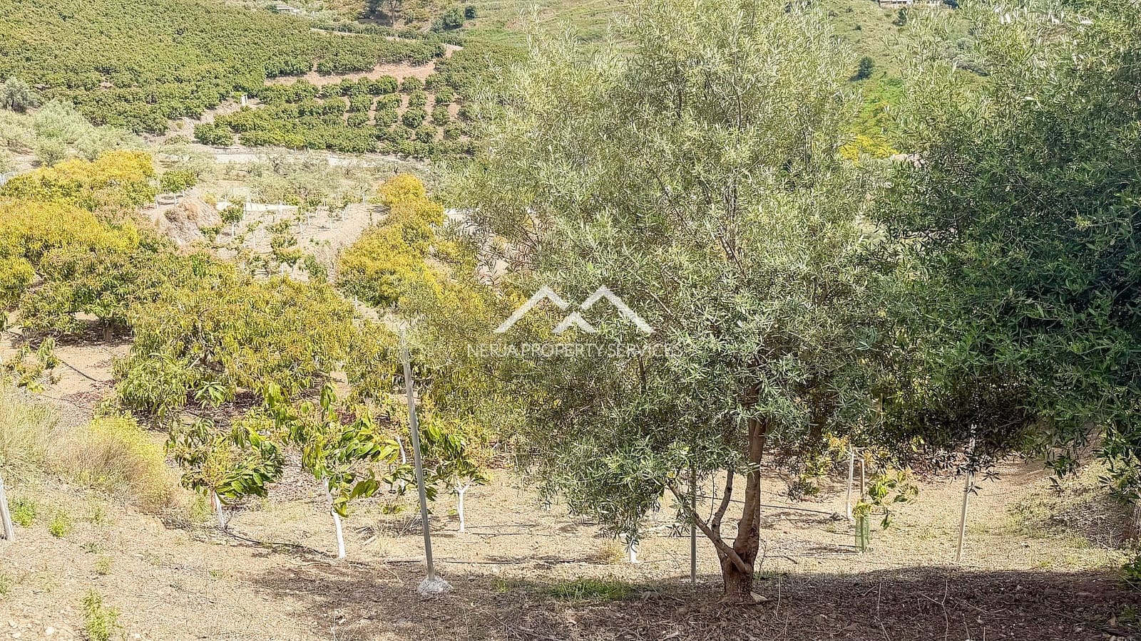 Teren niezagospodarowany na sprzedaż w Frigiliana - 149 000 € (Ref: 9771989)