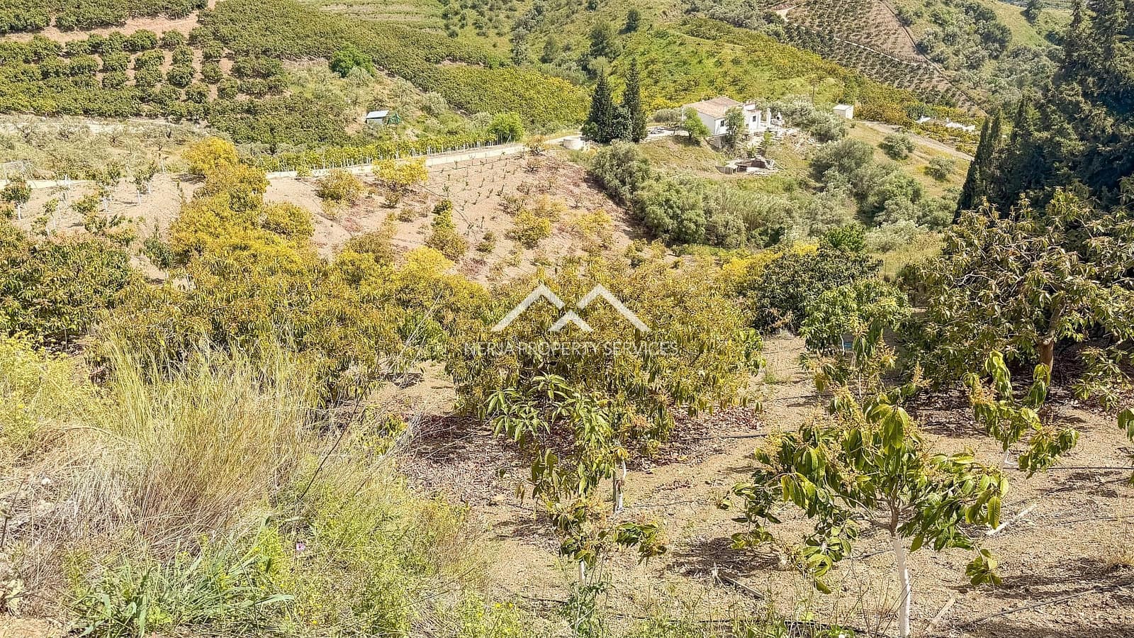 Teren niezagospodarowany na sprzedaż w Frigiliana - 149 000 € (Ref: 9771989)
