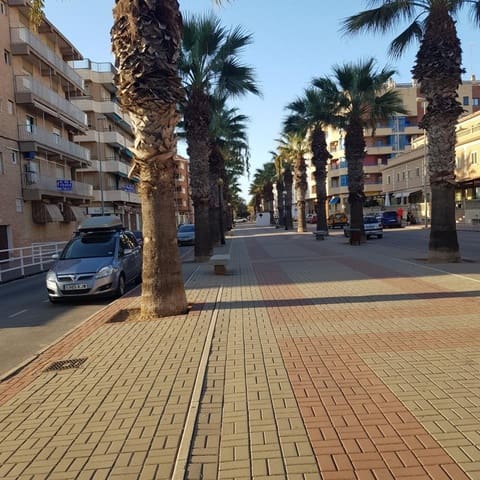 Negocio de 5 habitaciones en Guardamar Playa, Guardamar del Segura en venta - 425.000 € (Ref: 10027557)