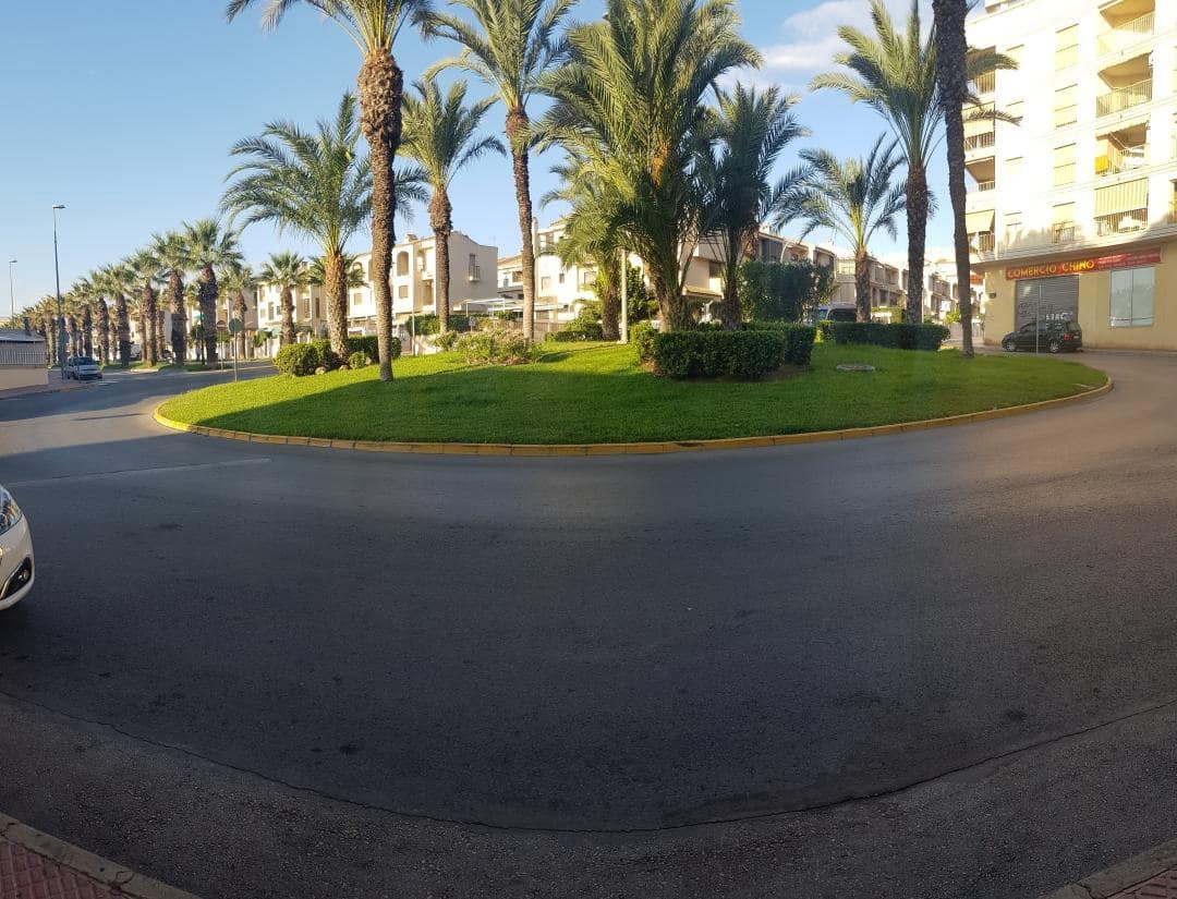 Negocio de 5 habitaciones en Guardamar del Segura en venta - 425.000 € (Ref: 10027557)