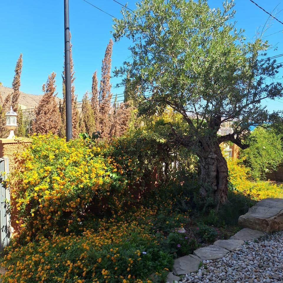 4 sovrum Villa till salu i El Campello med pool garage - 798 000 € (Ref: 8835143)