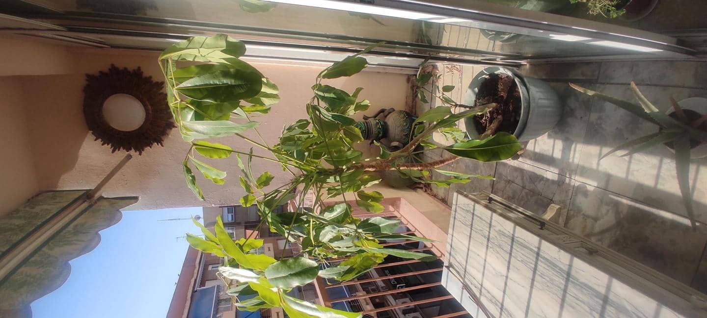 4 chambre Appartement à vendre à Alicante ville - 270 000 € (Ref: 9033257)