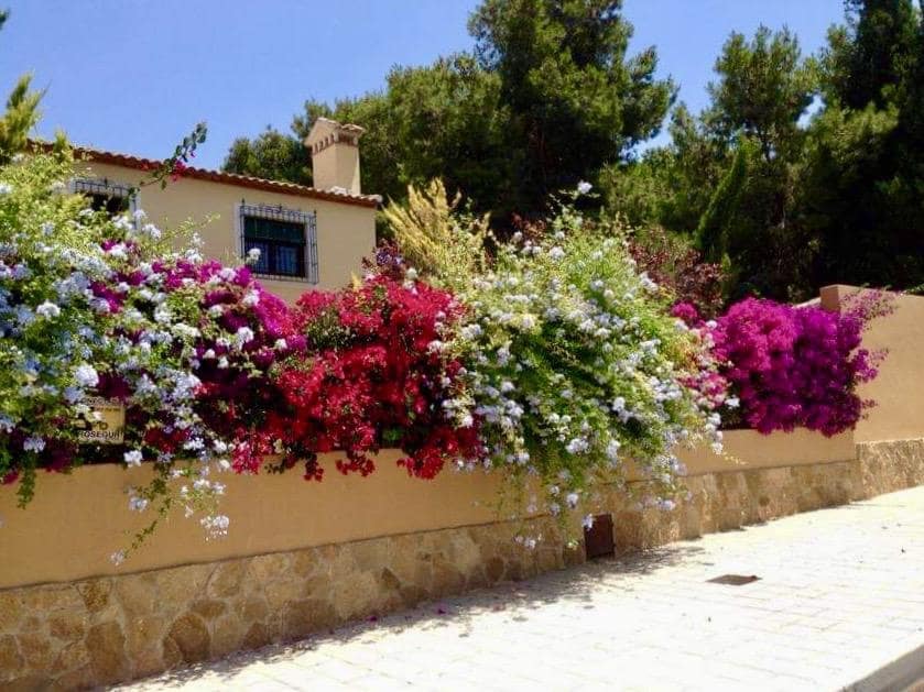 6 sypialnia Willa na sprzedaż w Miasto Alicante / Alacant z basenem - 1 350 000 € (Ref: 9050393)