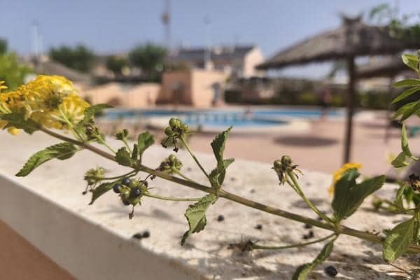 3 soverom Villa til salgs i Gran Alacant med svømmebasseng garasje - € 340 000 (Ref: 9128832)