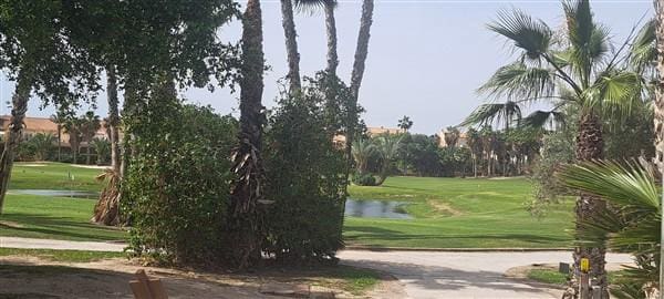 5 soveværelse Villa til salg i Alicante Golf, Alicante by med swimmingpool garage - € 965.000 (Ref: 9128834)