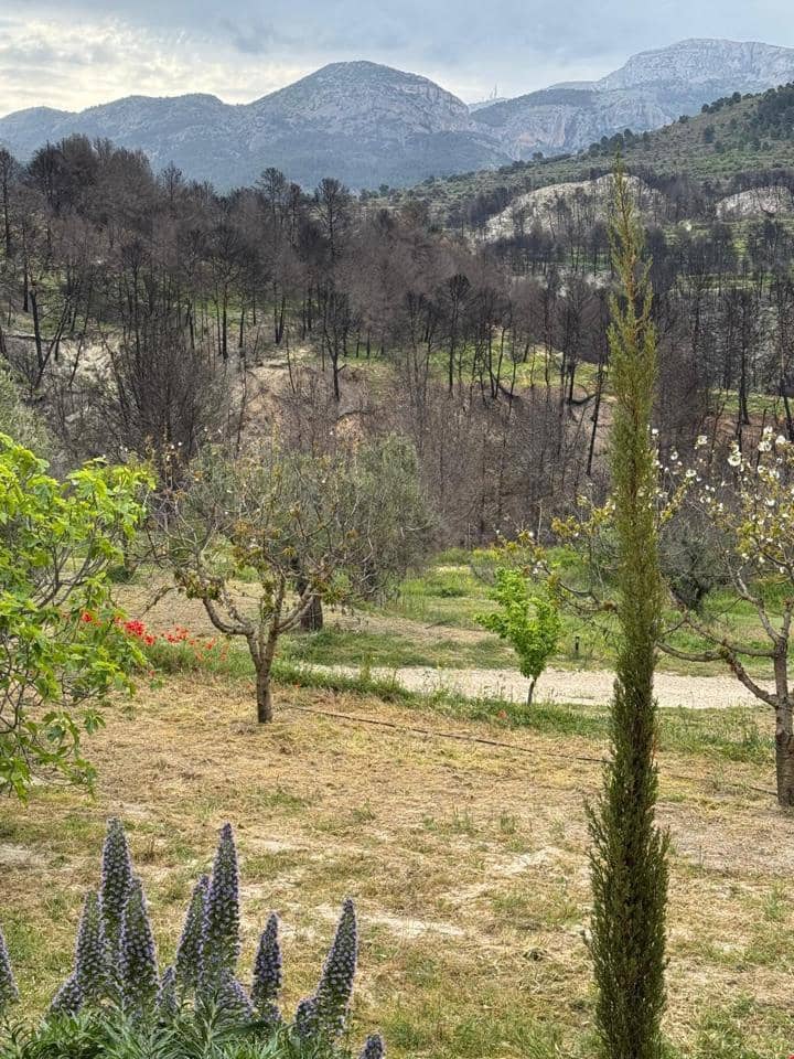 4 soveværelse Villa til salg i Penaguila med swimmingpool garage - € 750.000 (Ref: 9185985)