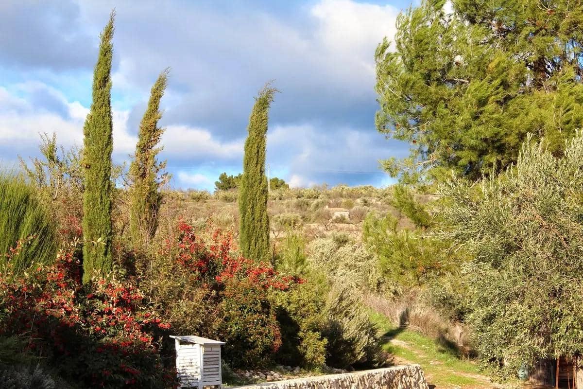 4 soveværelse Villa til salg i Penaguila med swimmingpool garage - € 750.000 (Ref: 9185985)