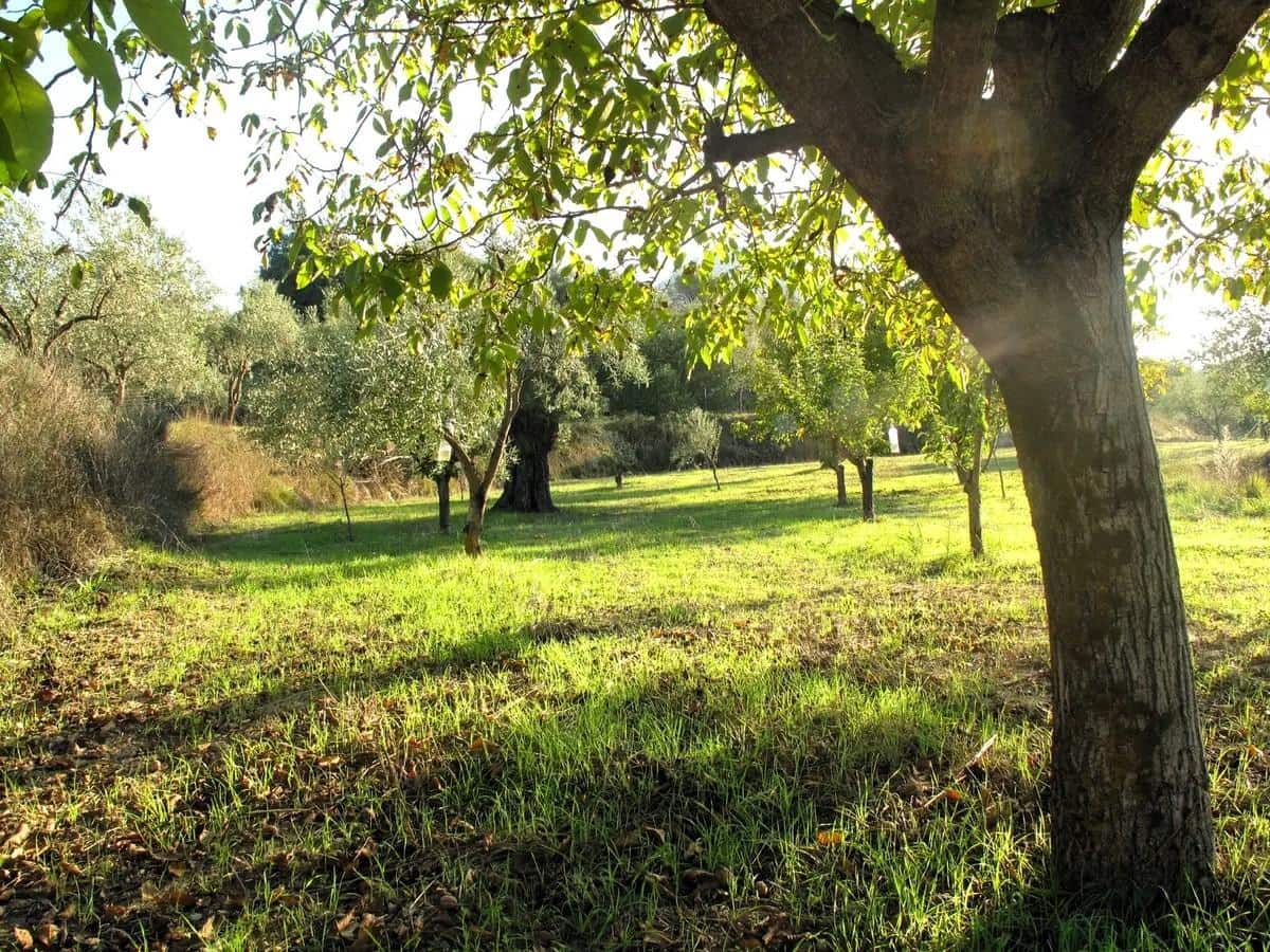 4 soveværelse Villa til salg i Penaguila med swimmingpool garage - € 750.000 (Ref: 9185985)