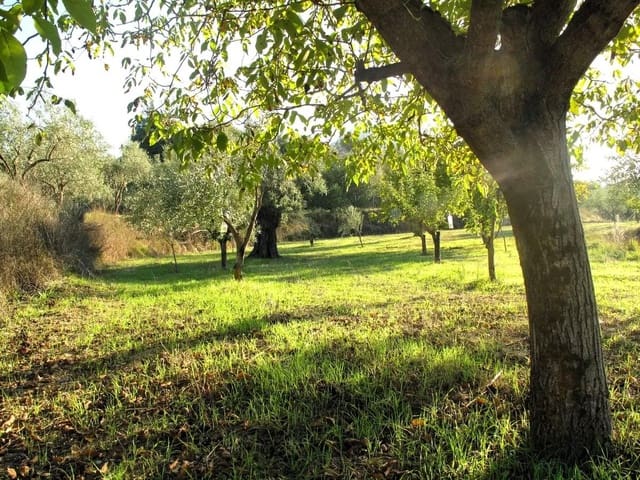 4 sovrum Villa till salu i Penàguila med pool garage - 750 000 € (Ref: 9185985)