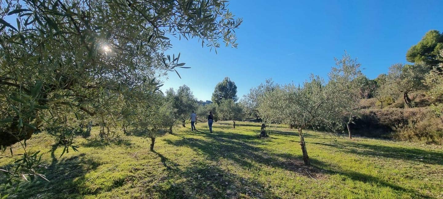 4 soveværelse Villa til salg i Penaguila med swimmingpool garage - € 750.000 (Ref: 9185985)