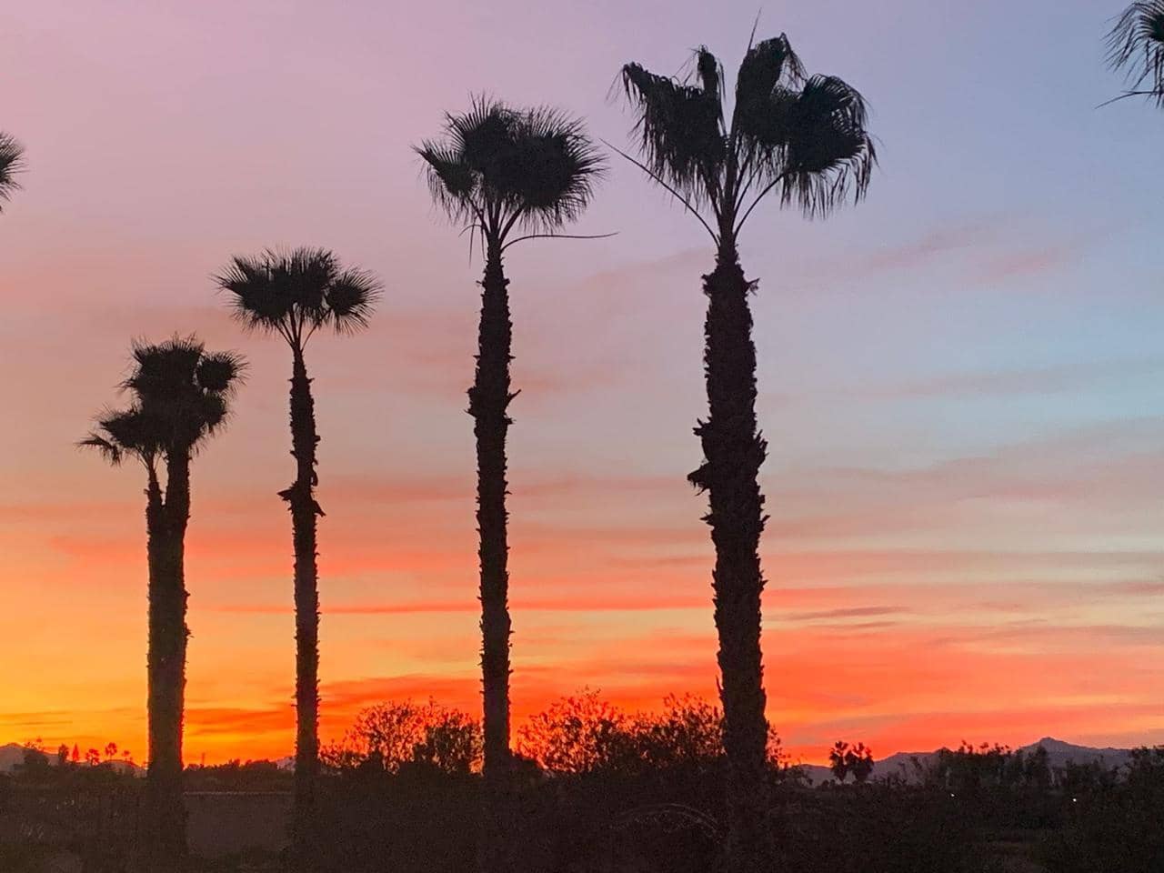 4 makuuhuone Maalaistalo myytävänä paikassa Dolores mukana uima-altaan - 460 000 € (Ref: 9377960)