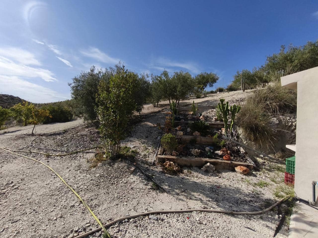 Grond te koop in Busot - € 79.000 (Ref: 9397979)