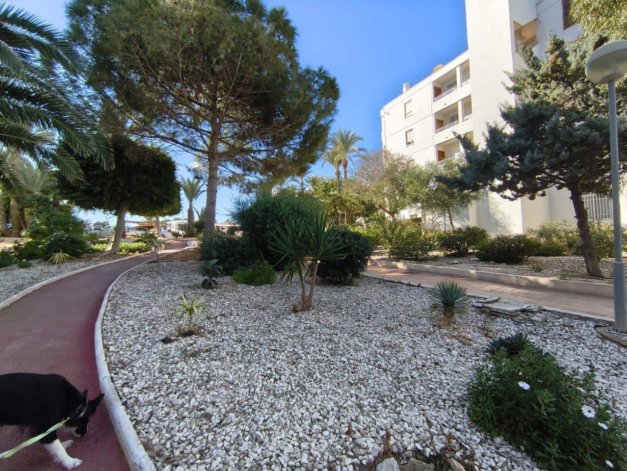 3 chambre Appartement à vendre à Gran Alacant - 275 000 € (Ref: 9399954)