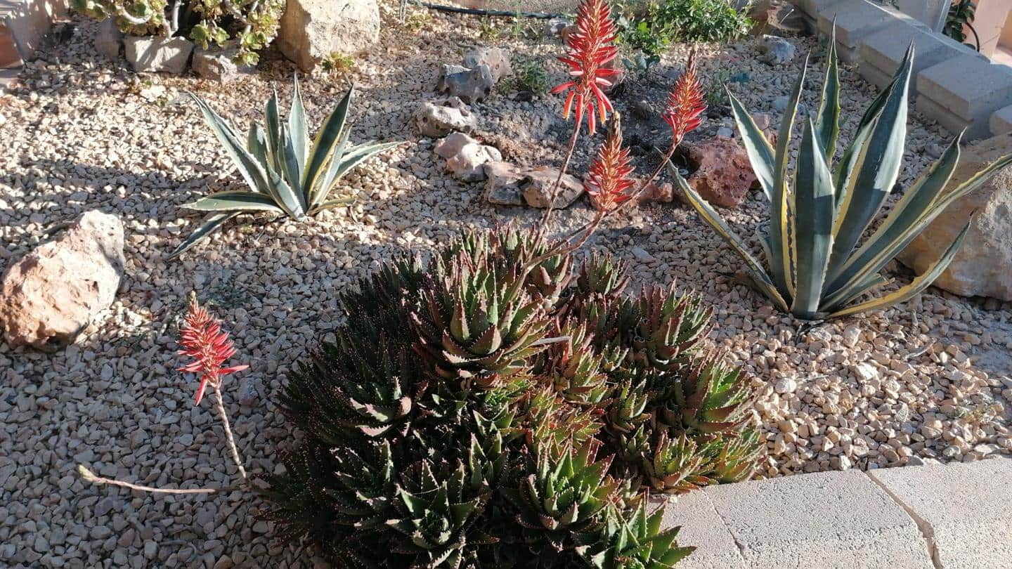 5 bedroom Villa for sale in Busot - € 595,000 (Ref: 9421493)