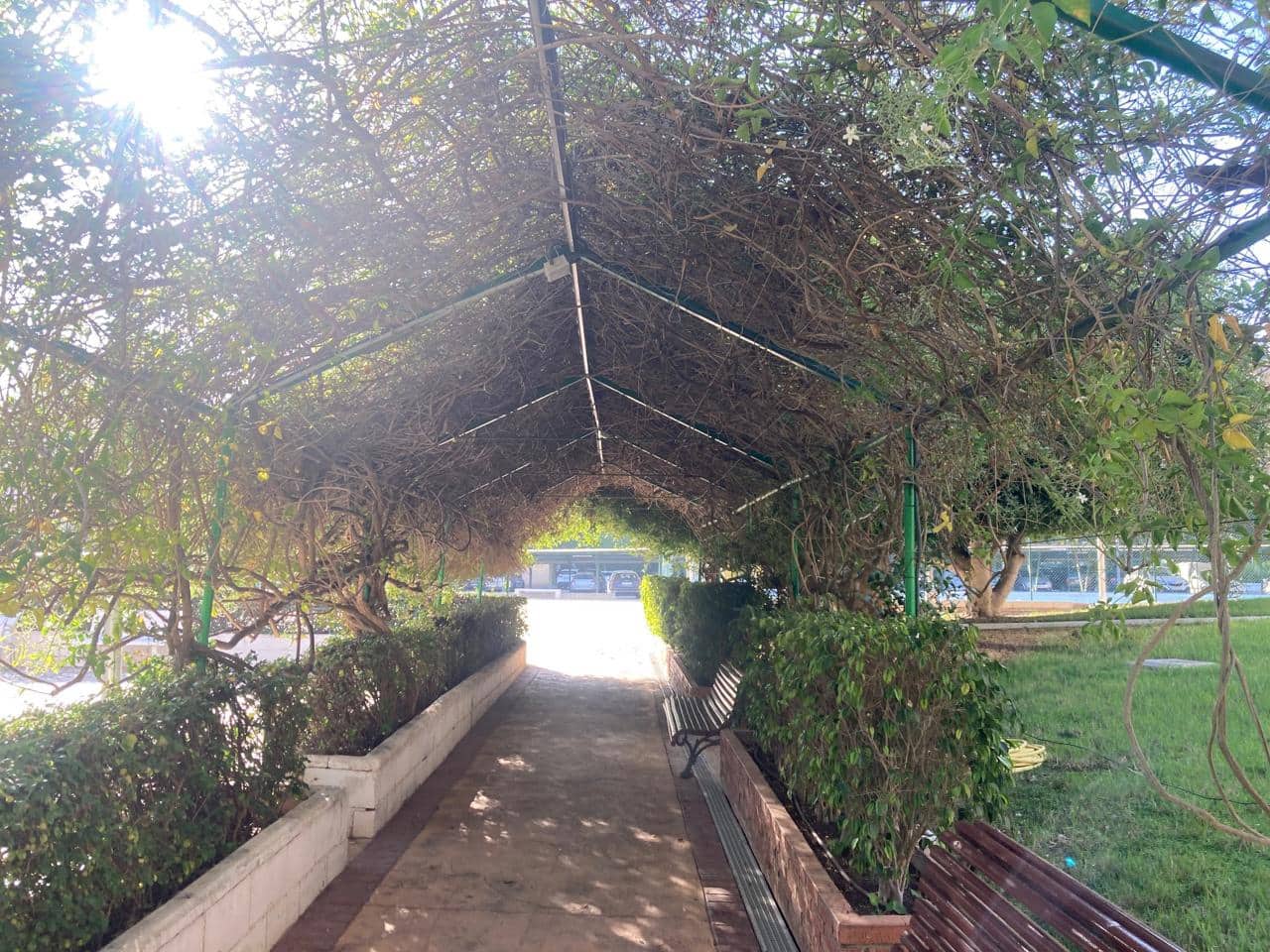 2 Zimmer Wohnung zu verkaufen in Alicante / Alacant Stadt mit Garage - 395.000 € (Ref: 9548929)