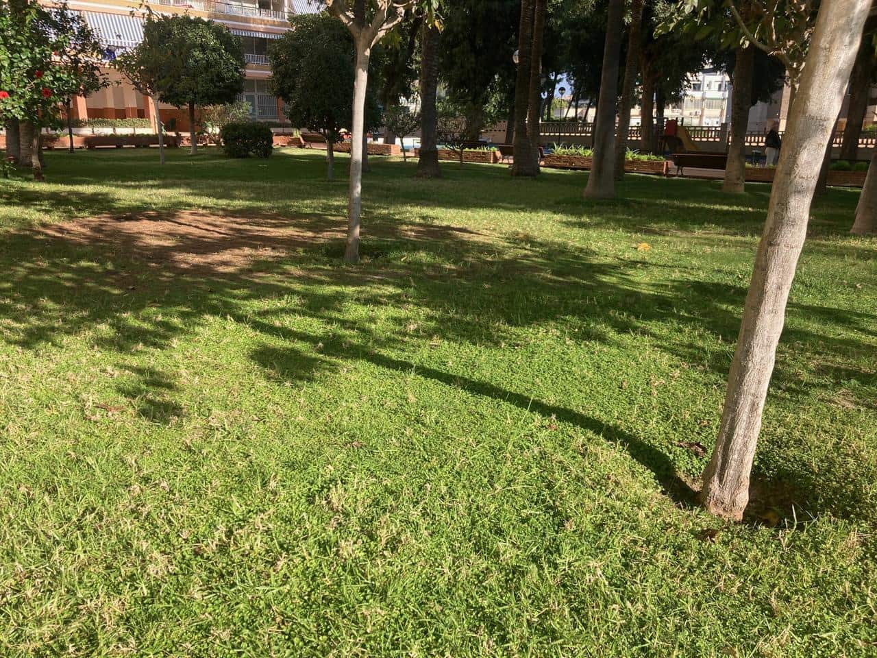 2 Zimmer Wohnung zu verkaufen in Alicante / Alacant Stadt mit Garage - 395.000 € (Ref: 9548929)