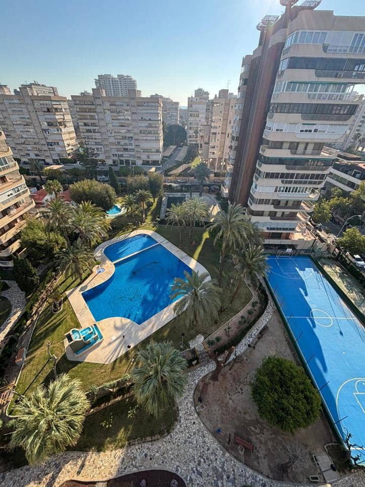 1 bedroom Flat for rent in Alicante / Alacant city with garage - € 1,500 (Ref: 9720548)