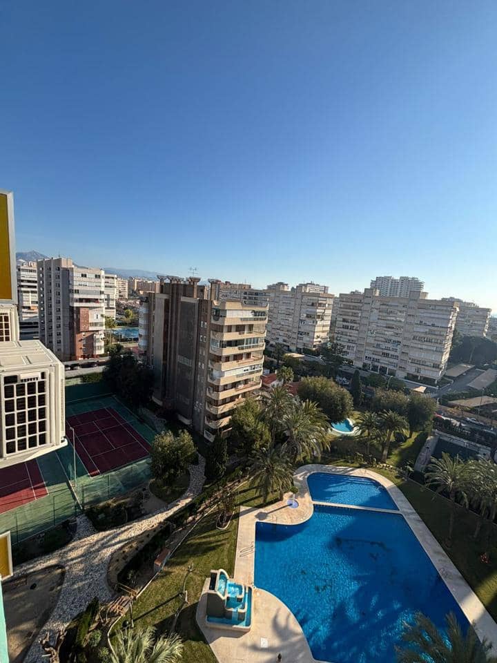 1 bedroom Flat for rent in Alicante / Alacant city with garage - € 1,500 (Ref: 9720548)