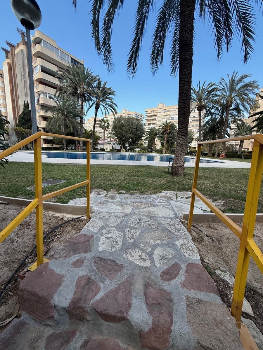 1 bedroom Flat for rent in Alicante / Alacant city with garage - € 1,500 (Ref: 9720548)