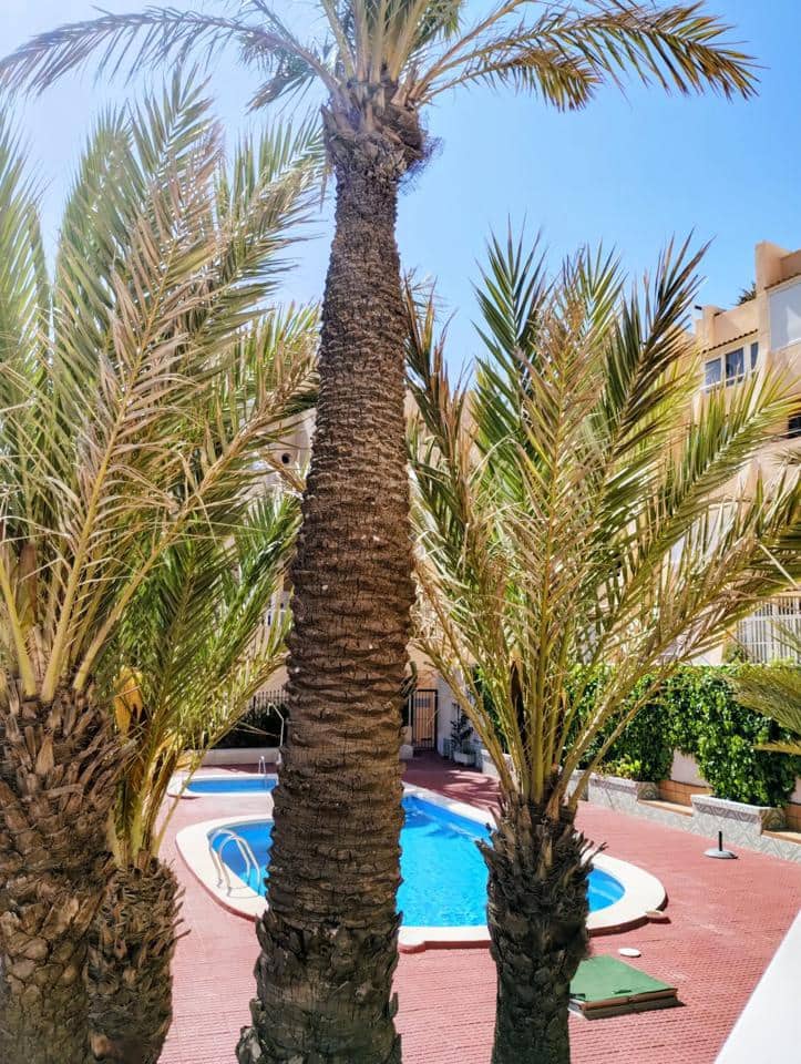 1 bedroom Flat for sale in Torrevieja with pool - € 160,000 (Ref: 9720996)