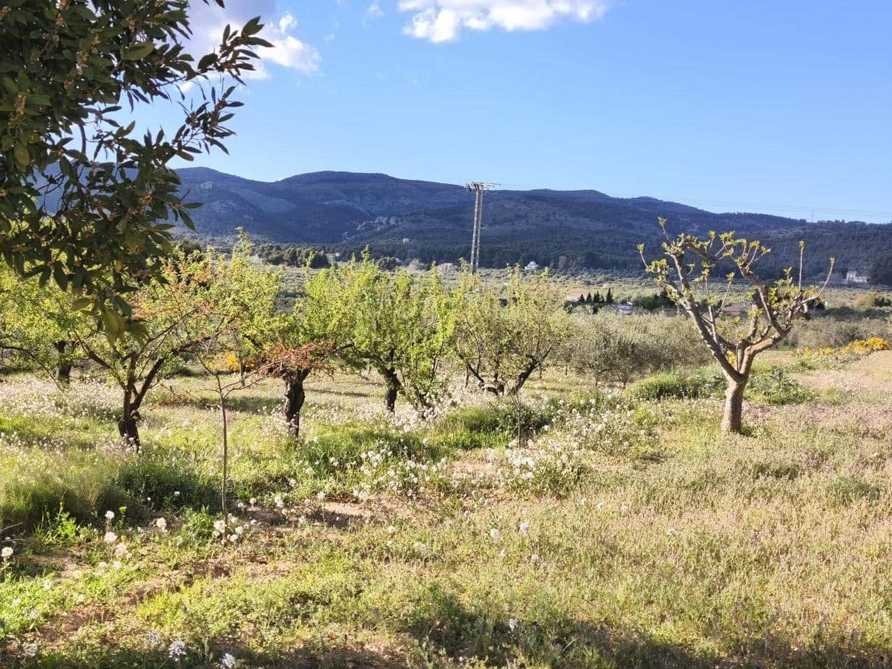 4 sovrum Finca/Hus på landet till salu i Onil med pool garage - 190 000 € (Ref: 9749291)