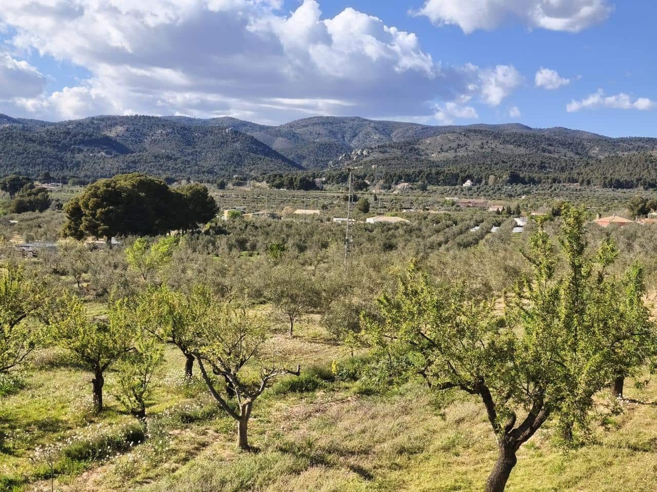 4 sovrum Finca/Hus på landet till salu i Onil med pool garage - 190 000 € (Ref: 9749291)