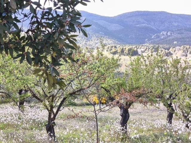 4 sovrum Finca/Hus på landet till salu i Onil med pool garage - 190 000 € (Ref: 9749291)