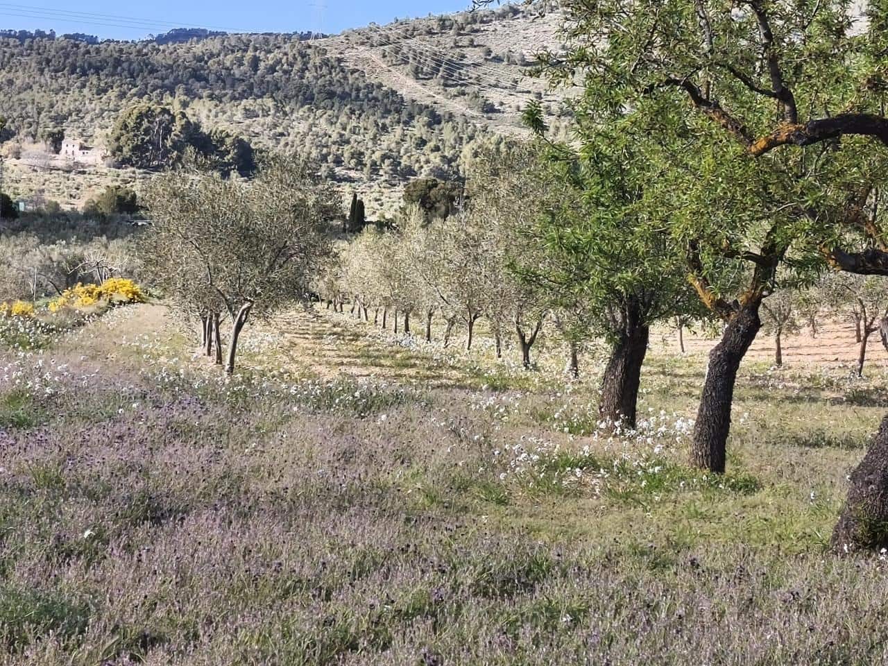 4 sovrum Finca/Hus på landet till salu i Onil med pool garage - 190 000 € (Ref: 9749291)