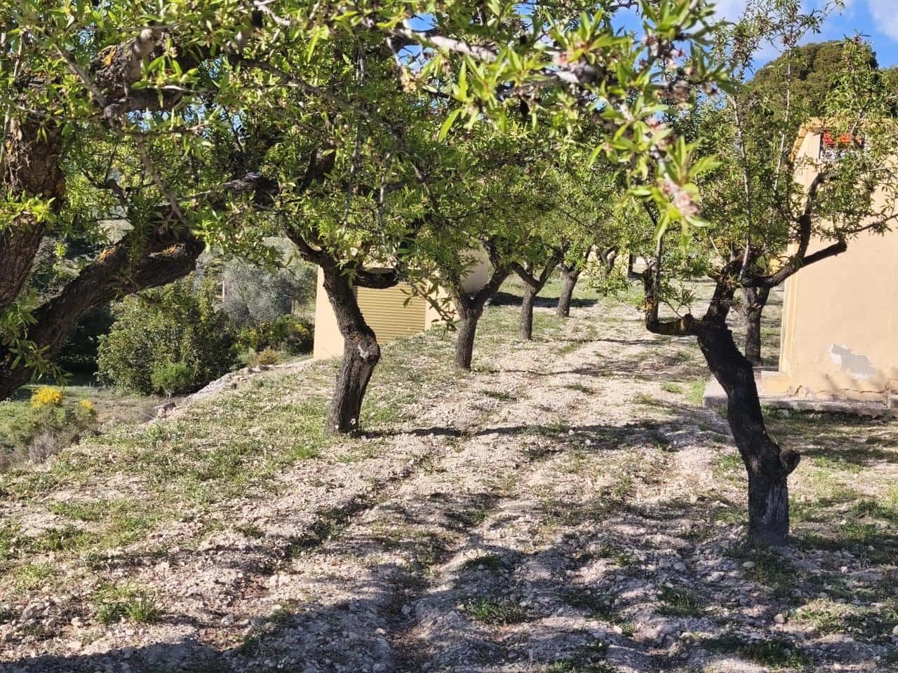 4 sovrum Finca/Hus på landet till salu i Onil med pool garage - 190 000 € (Ref: 9749291)