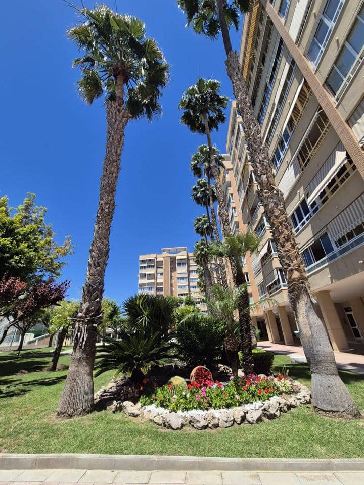 3 soveværelse Lejlighed til salg i Alicante by med garage - € 415.000 (Ref: 9854567)