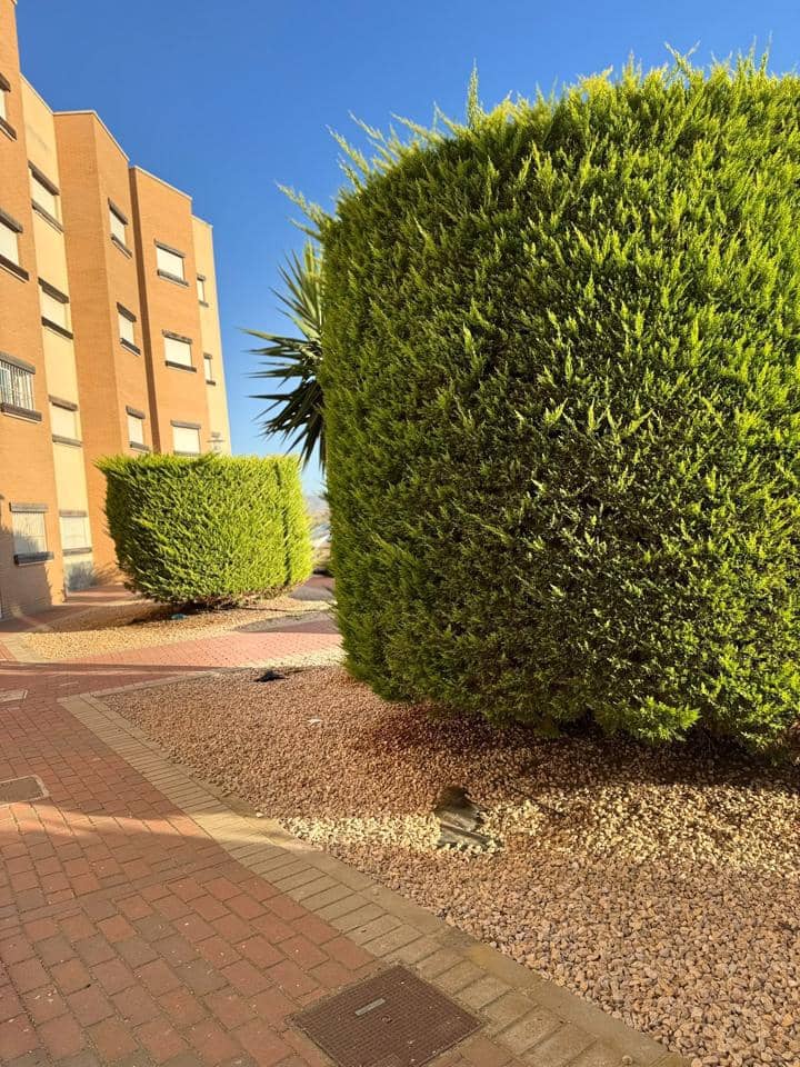 2 camera da letto Appartamento in vendita in Los Martinez del Puerto con piscina - 115.000 € (Rif: 9944919)