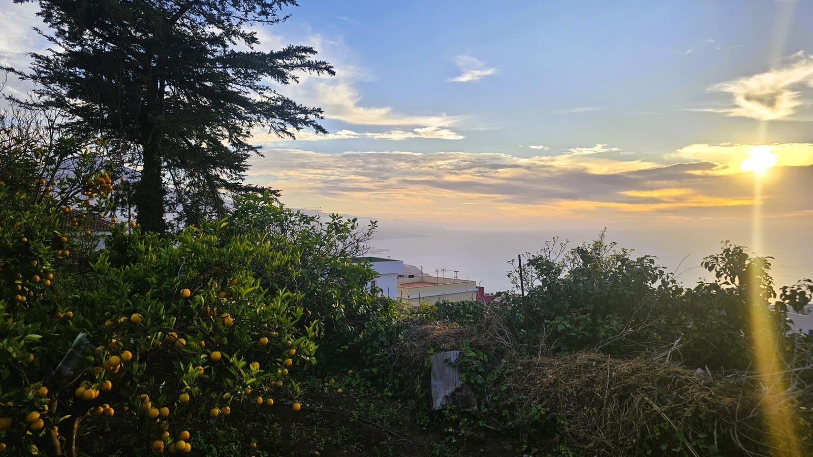 4 soveværelse Villa til salg i La Matanza de Acentejo med swimmingpool - € 799.500 (Ref: 8678371)