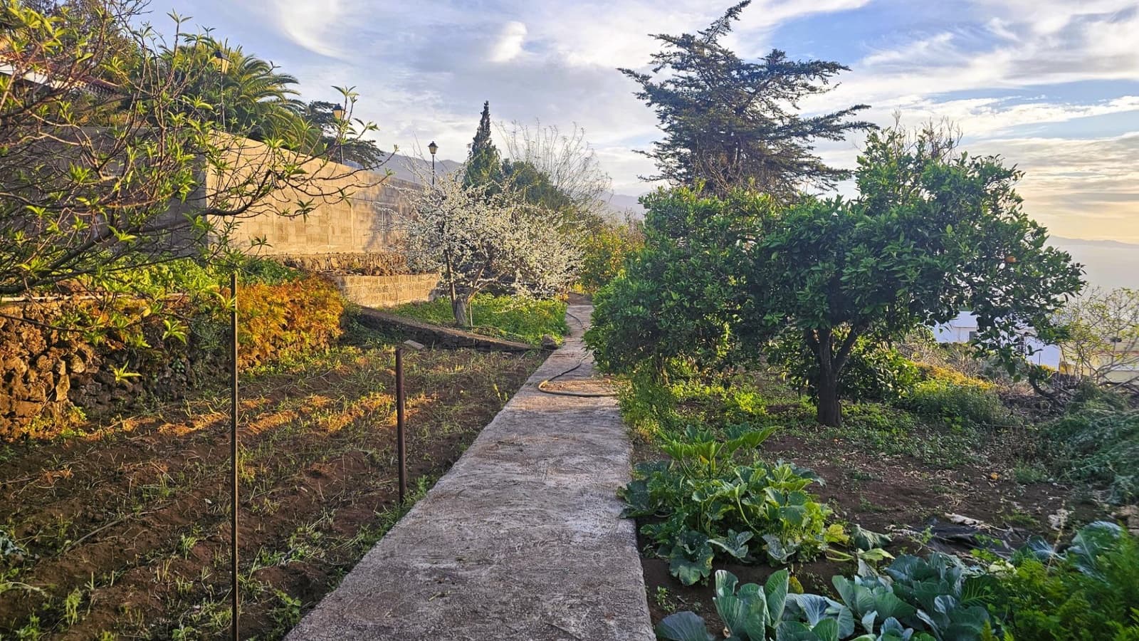 4 soveværelse Villa til salg i La Matanza de Acentejo med swimmingpool - € 799.500 (Ref: 8678371)