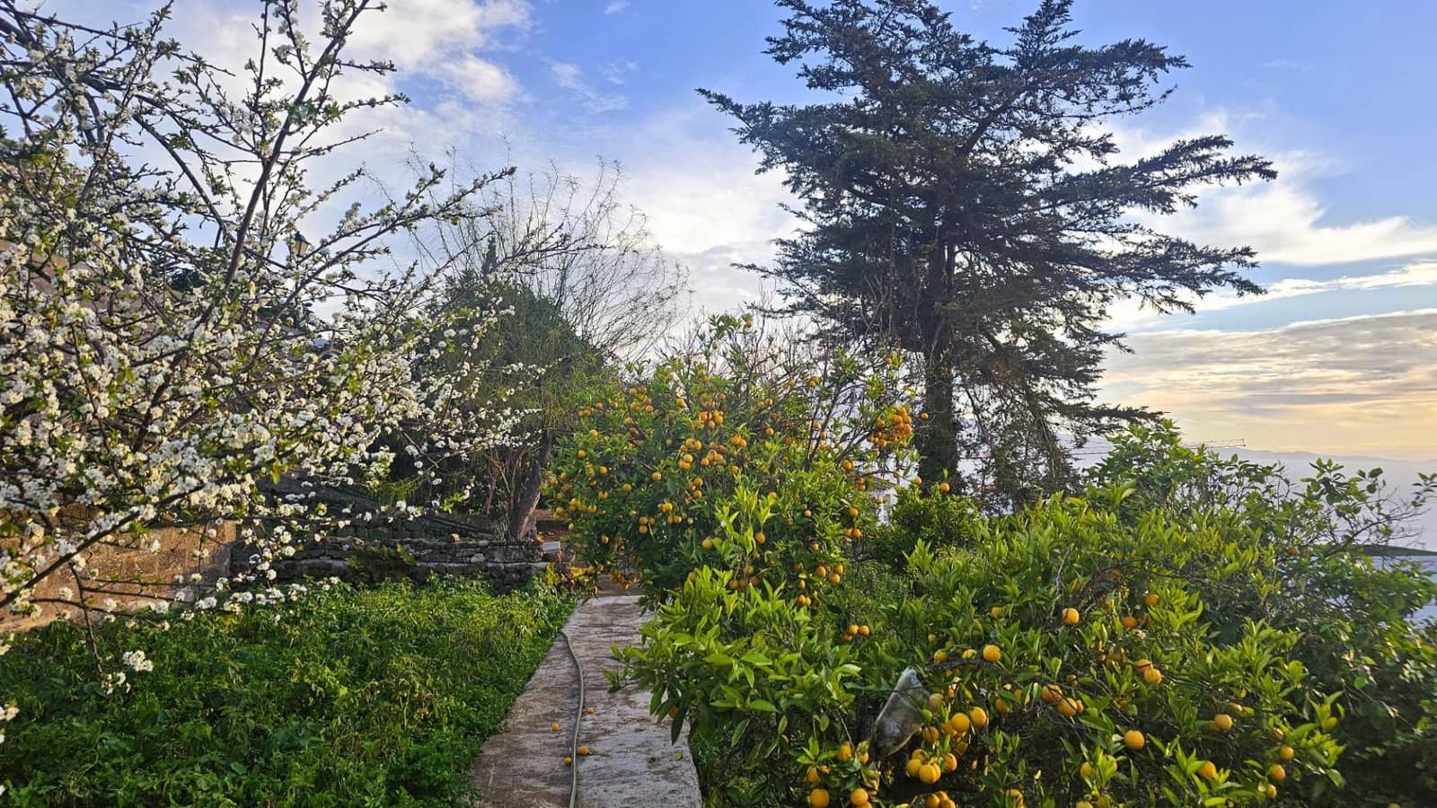 4 soveværelse Villa til salg i La Matanza de Acentejo med swimmingpool - € 799.500 (Ref: 8678371)