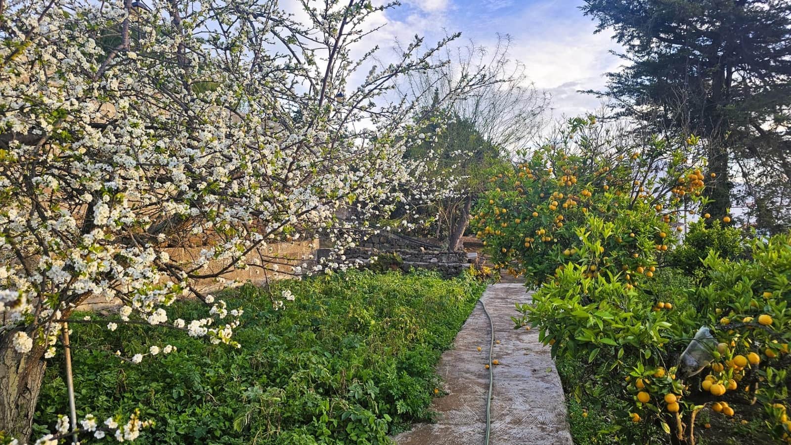 4 soveværelse Villa til salg i La Matanza de Acentejo med swimmingpool - € 799.500 (Ref: 8678371)