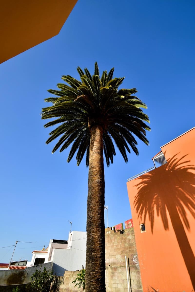 6 slaapkamer Villa te koop in Tacoronte met garage - € 365.000 (Ref: 8686263)