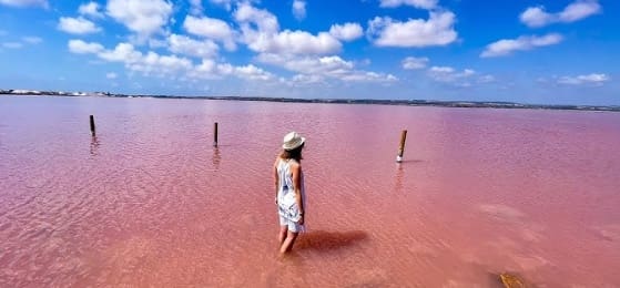 2 camera da letto Bungalow in vendita in Los Balcones con piscina - 310.000 € (Rif: 9352109)