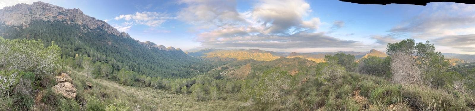 3 makuuhuone Maalaistalo myytävänä paikassa Canada de San Pedro mukana uima-altaan - 590 000 € (Ref: 9449908)