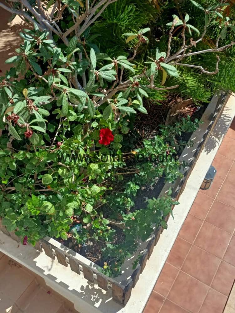 7 soveværelse Villa til salg i Bolnuevo med swimmingpool garage - € 590.000 (Ref: 7094052)