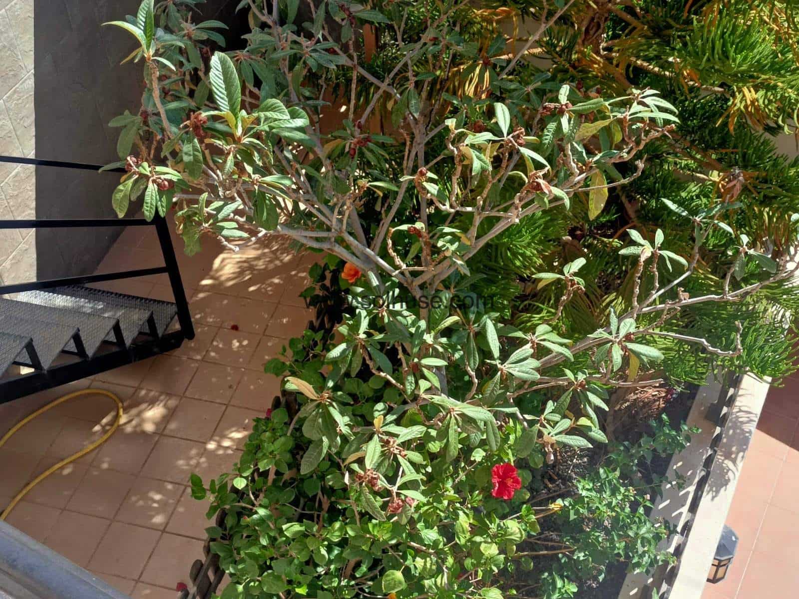 7 soveværelse Villa til salg i Bolnuevo med swimmingpool garage - € 590.000 (Ref: 7094052)