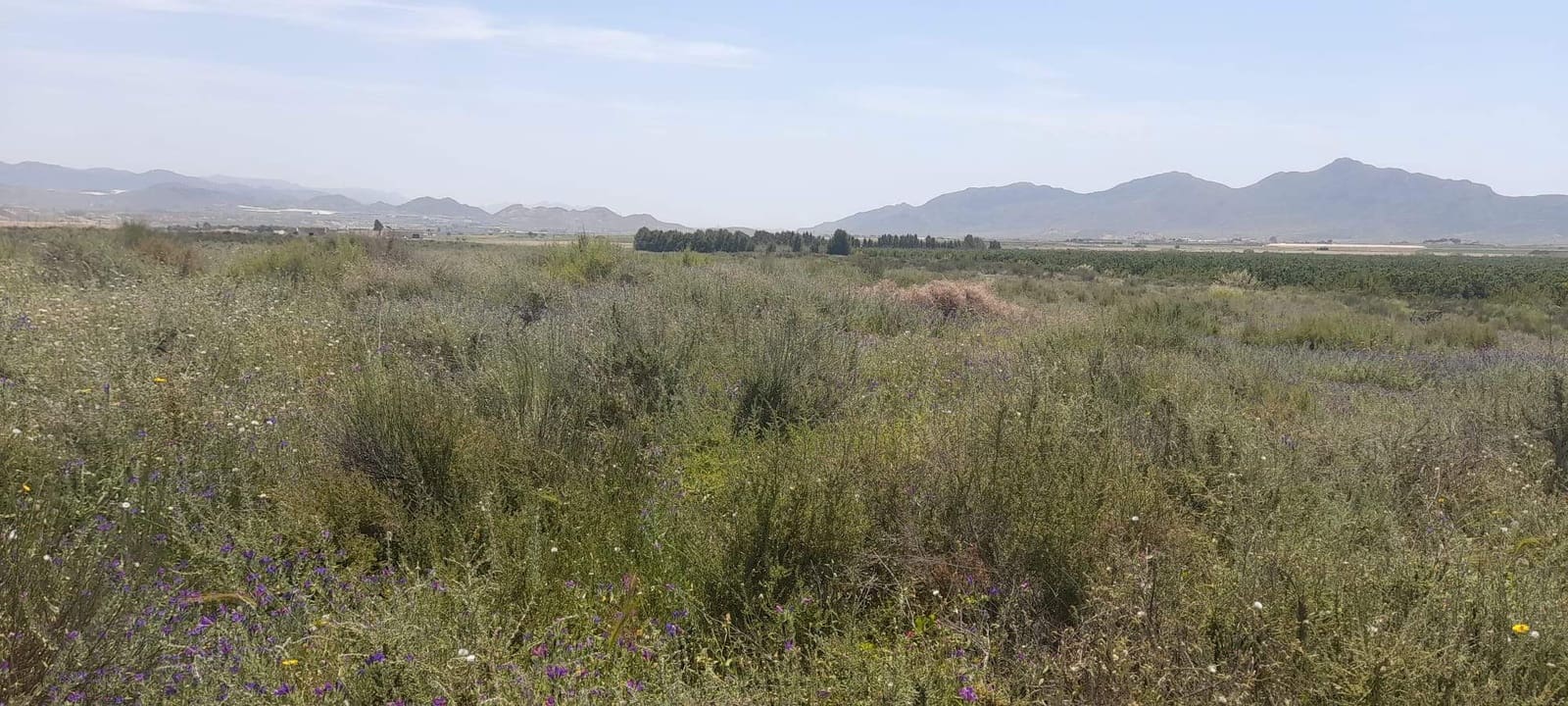 Grunde uden byggetilladelser til salg i La Majada - € 160.000 (Ref: 7094060)