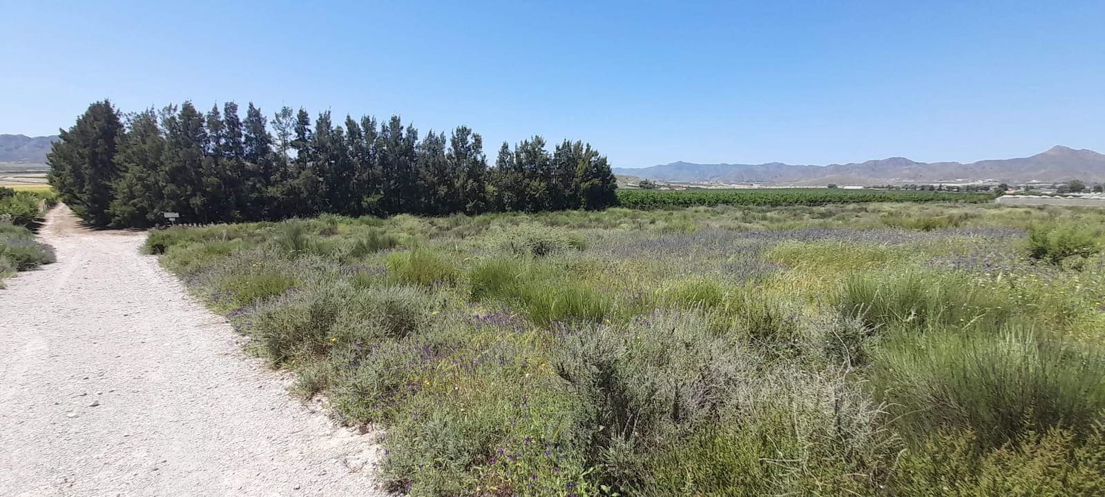 Grunde uden byggetilladelser til salg i La Majada - € 160.000 (Ref: 7094060)